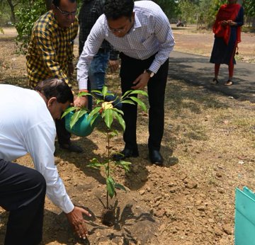 dhamtari collector