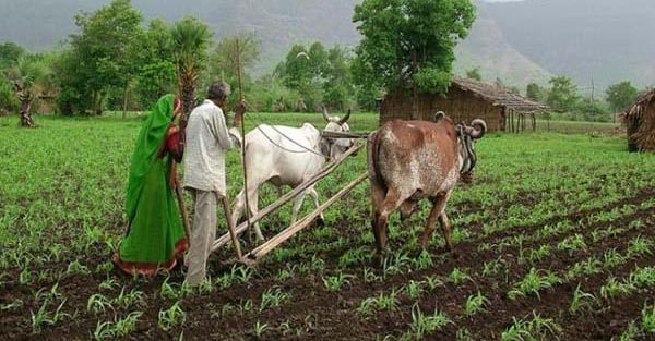 kheti kisani