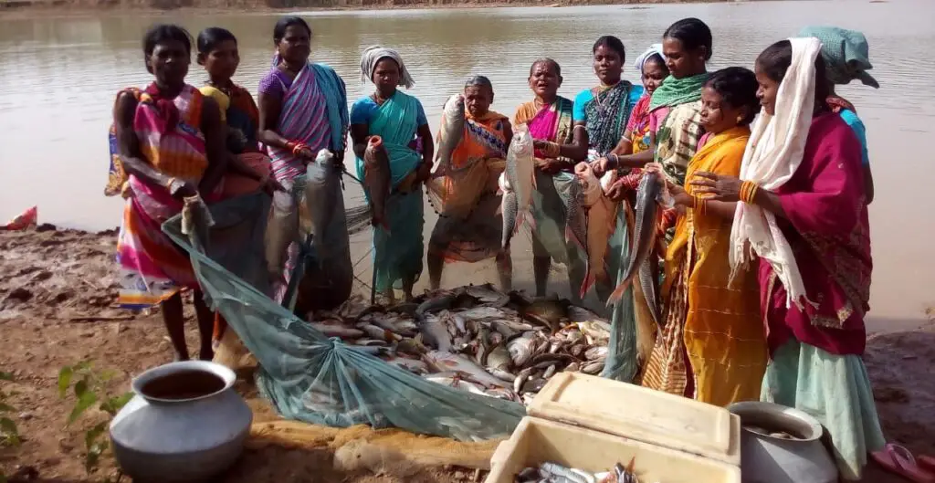 ripa matsya palan