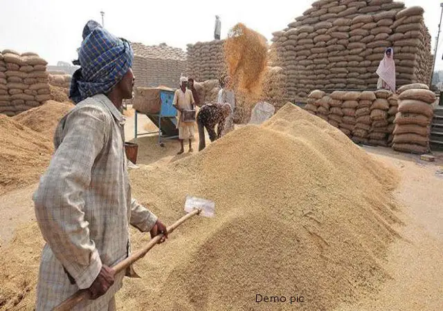 dhan kharidi