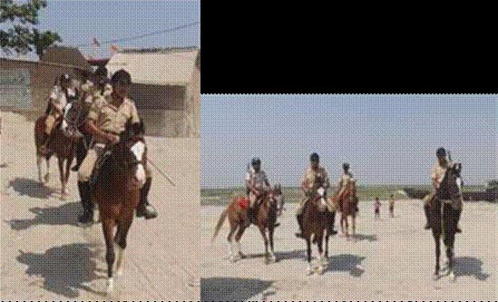 बिहार के कटिहार में घोड़ों पर बैठकर गश्त करते सुरक्षाकर्मी