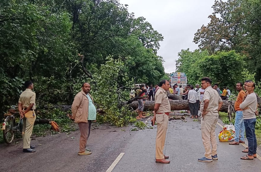 बारिश को देखते धमतरी जिला प्रशासन अलर्ट पर, सूचना मिलते नगरी रोड में गिरे विशालकाय पेड़ को हटाया