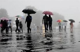जिले में अब तक 626 मि.मी. औसत वर्षा दर्ज