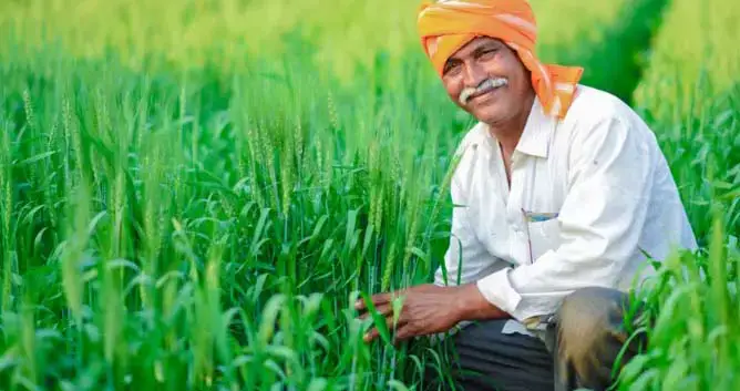 कृषि की समृद्धि से निकलेगा छत्तीसगढ़ की खुशहाली का रास्ता