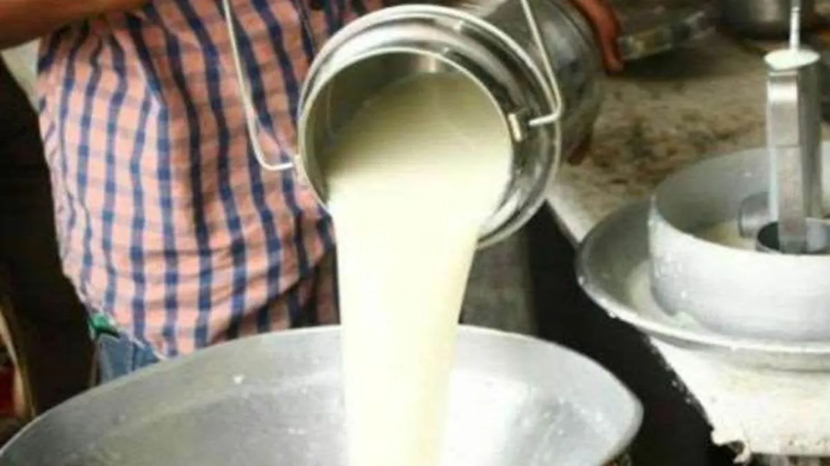 दुग्ध उत्पादन