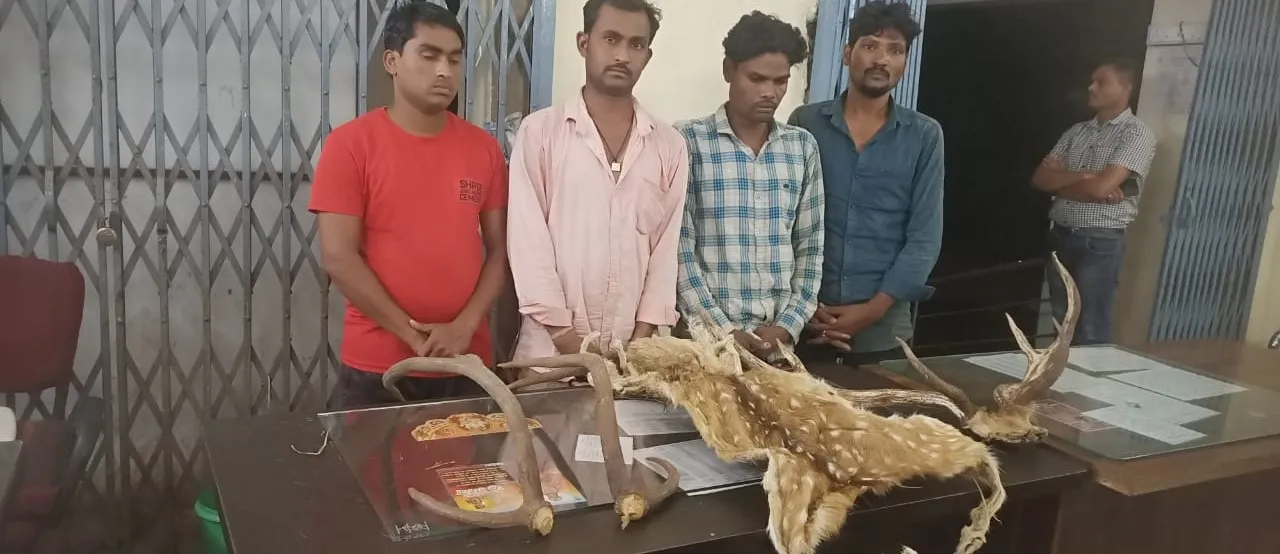 hiran ka taskri