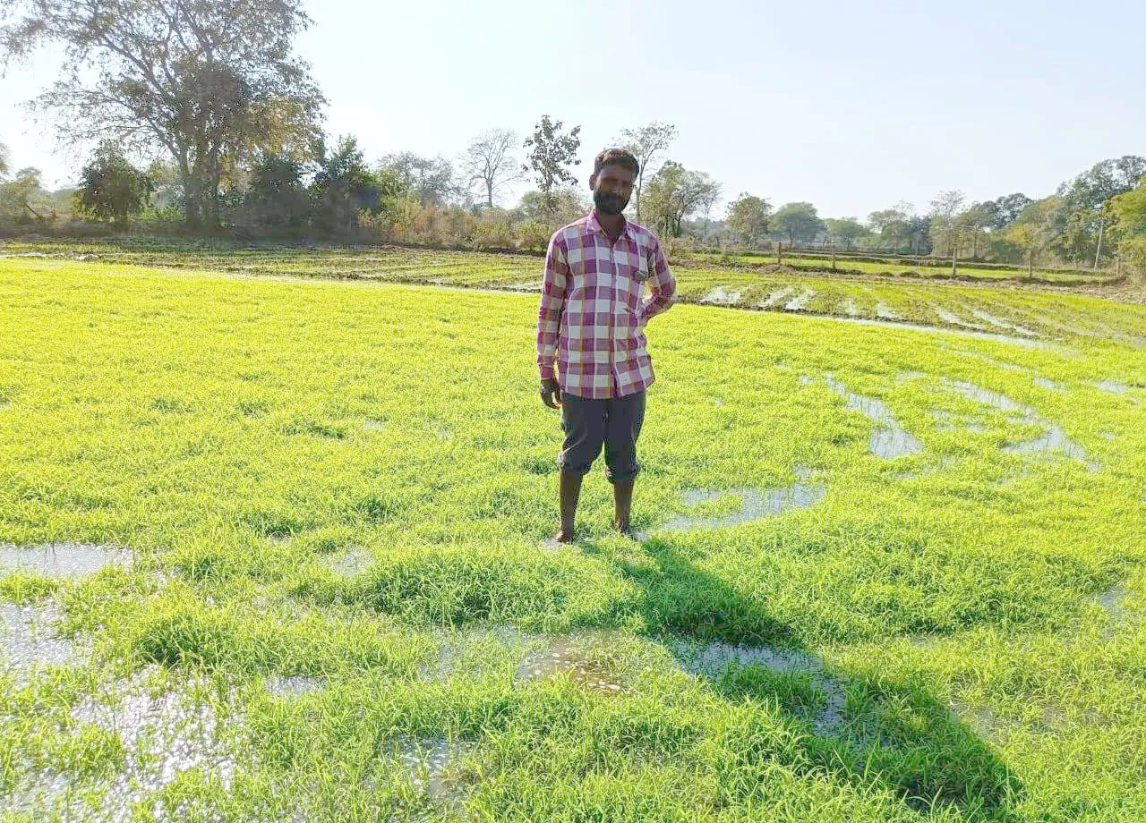 kisan