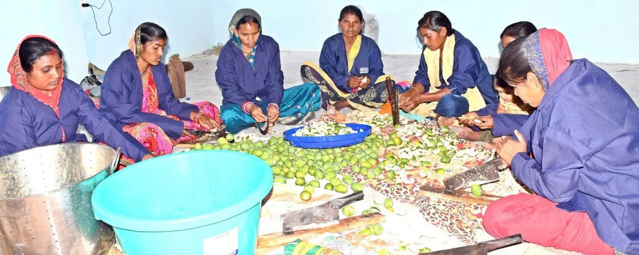 mahila samuh ripa