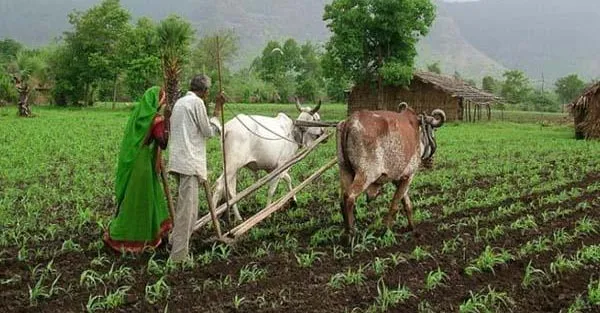 kheti kisani