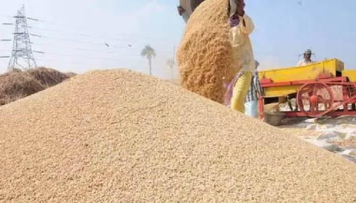शनिवार और रविवार को भी होगी धान खरीदी, 4 फरवरी तक तारीख बढ़ाई गई