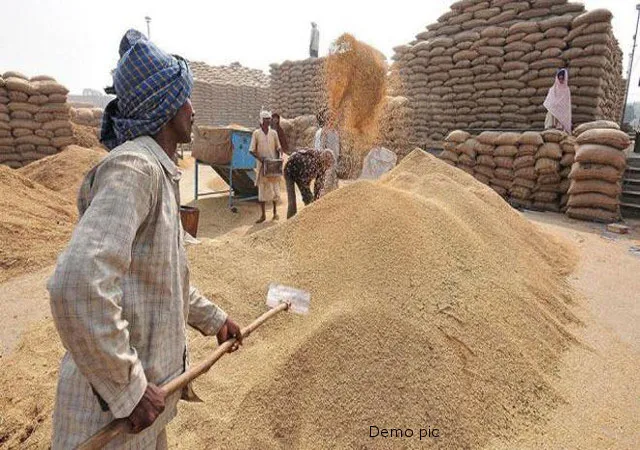 dhan kharidi