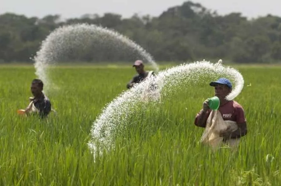kisan