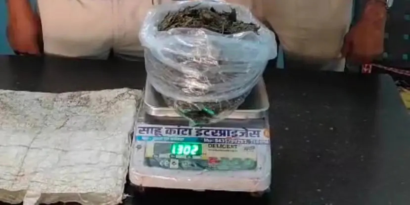 चरमुड़िया चौक में नाबालिग लड़के बेच रहे थे गांजा, कुरुद पुलिस ने दोनों को दबोचा