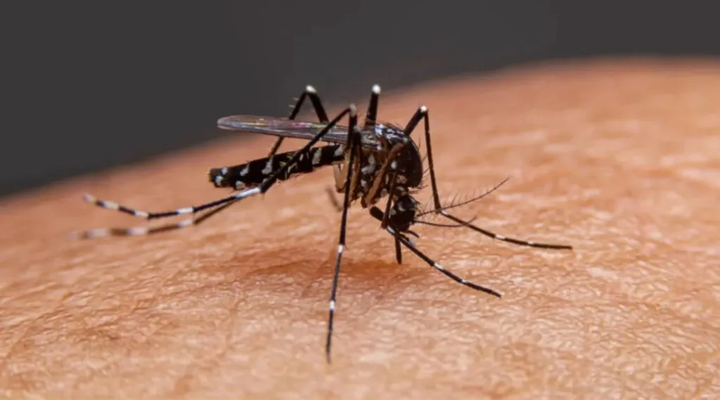 Malaria Test