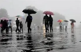 जिले में अब तक 626 मि.मी. औसत वर्षा दर्ज