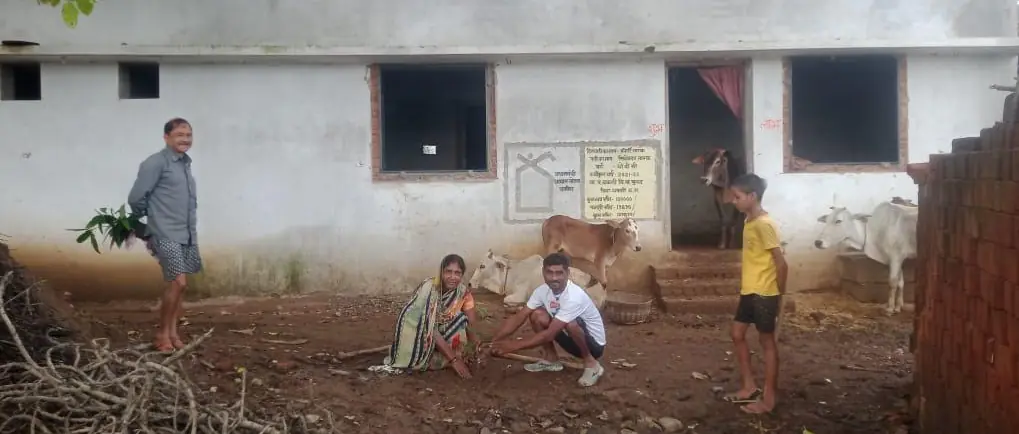 Dhamtari Plantation
