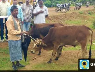बैगा परिवारों को अब खेती कार्य में होगी आसानी, मिले निःशुल्क 20 जोड़ी बैल