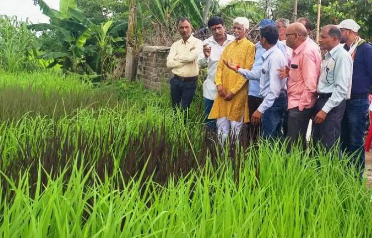 जैविक खेती से करें मिट्टी का श्रृंगार,फसल चक्रण से उत्पादन होगा भरमार