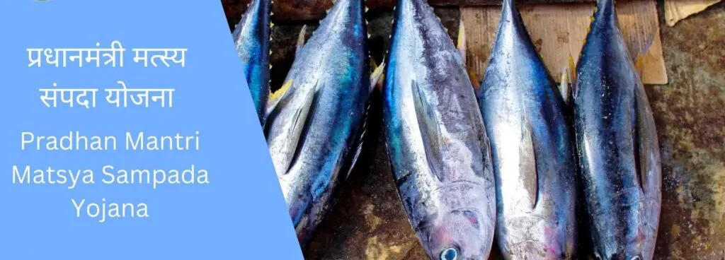 प्रधानमंत्री मत्स्य संपदा योजनान्तर्गत सोनबती को मिली 5 लाख रूपये की बीमा राशि