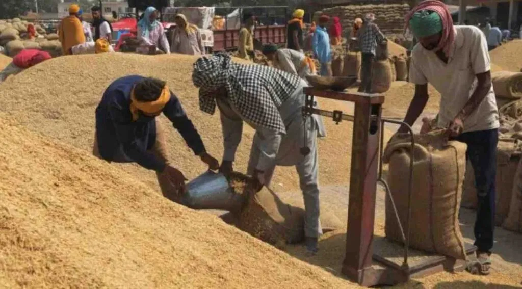 प्रदेश में अब तक 18.09 लाख मीट्रिक टन धान की हुई खरीदी