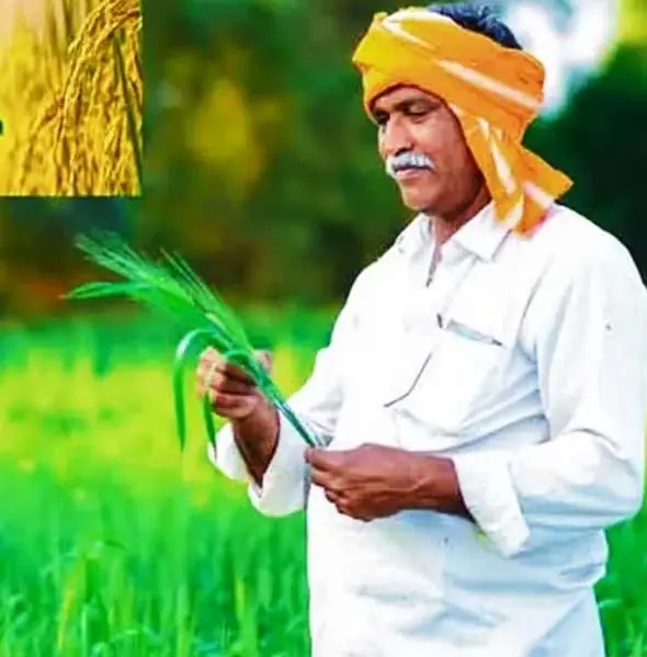 डिजिटल फसल सर्वेक्षण के तहत सभी कृषकों को मिलेगा कृषि भूमि पहचान पत्र