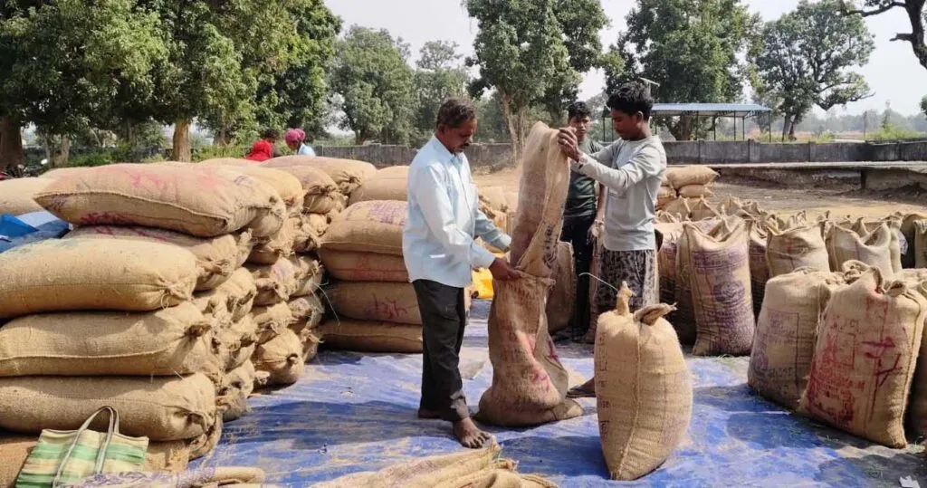किसानों को मिल रहा मेहनत का फल, सरकार की व्यवस्था हो रही सफल