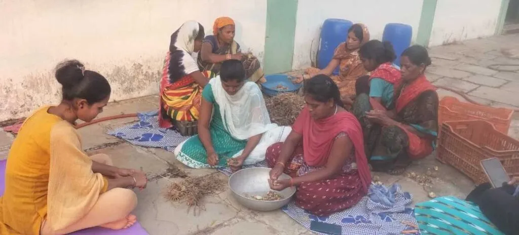 Vandhan Vikas Yojna