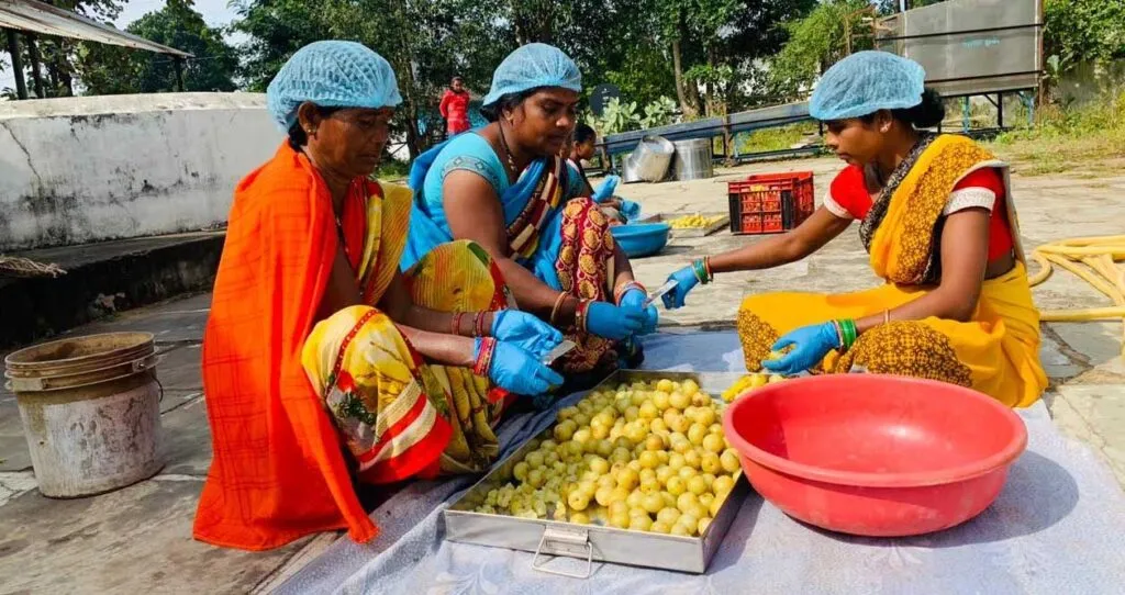 वनधन विकास केन्द्र दुगली में महिलाओं को मिल रहा वर्षभर रोजगार