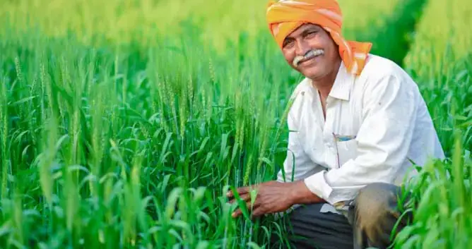 कृषि की समृद्धि से निकलेगा छत्तीसगढ़ की खुशहाली का रास्ता