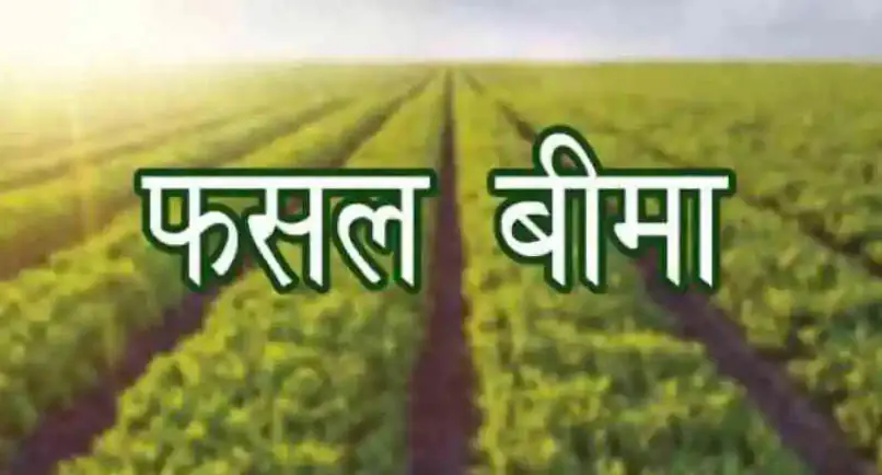 किसान भाई 31 दिसबर तक करा सकते है बोई गई फसलो का बीमा