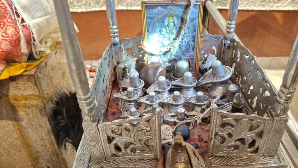 रायपुर : कामाख्या मंदिर में महाशिवरात्रि पर 14 पारद शिवलिंगों का होगा अभिषेक